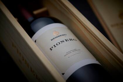 Pionero combina malbec, cabernet sauvignon y cabernet franc, provenientes de parcelas seleccionadas de Finca El Tomillo, en Gualtallary, Mendoza, a más de 1.300 metros sobre el nivel del mar.