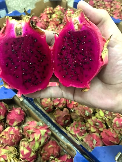 Pitaya, del noroeste argentino.
