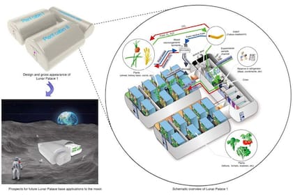 Plano del prototipo de laboratorio, su funcionamiento y su posible instalación en la Luna
