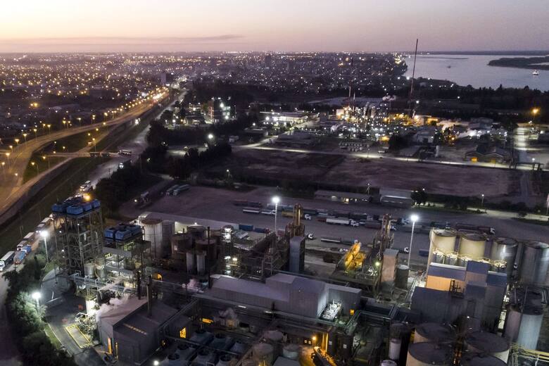vicentin