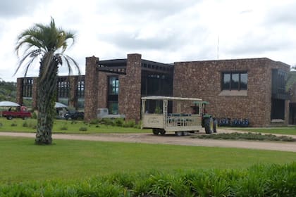 Planta de aceite de oliva