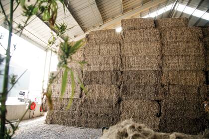 Planta de procesamiento de cáñamo en Bélgica, inaugurada en 2016.