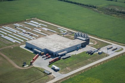 Planta de procesamiento de legumbres de Desdeelsur, en Salta