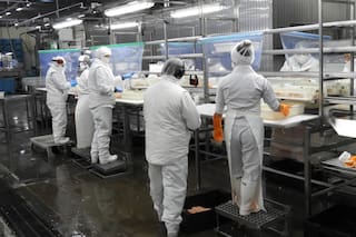 Fuego cruzado entre Chubut y una empresa pesquera