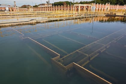 Las piletas de decantación