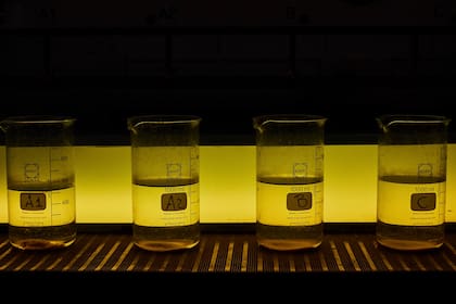 Muestras de agua en el laboratorio de la planta