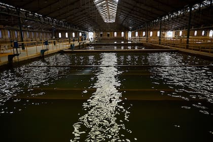 Los filtros se encuentran bajo techo