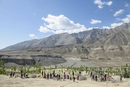 Plantación de árboles en Ladakh, abastecida por el sistema de riego proveniente de las estupas de hielo (Rolex)