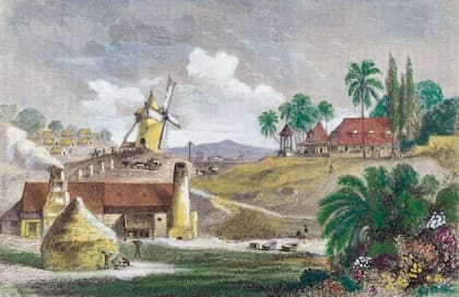 Plantación de caña en la Martinica colonial, al estilo de la que la familia de Josefina poseía
