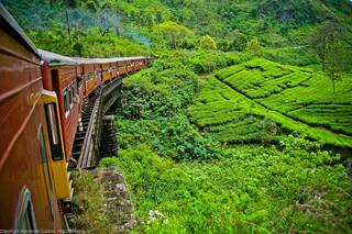 Sri Lanka autorizó la importación de glifosato después del fracaso de la agricultura orgánica