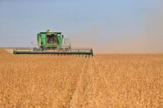 La cosecha dará US$8000 millones extra: cómo la venderán los productores