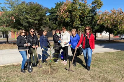 Plantaciones de árboles en diversos espacios públicos se suman a la lista de actividades para festejar el aniversario esta institución centenaria con representantes en todo el país.