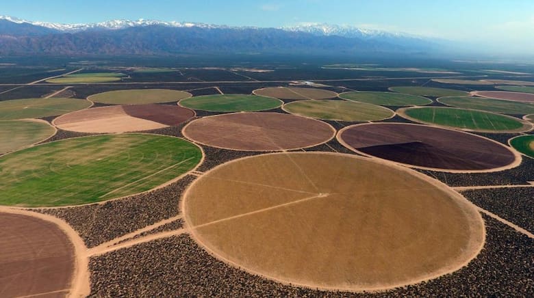 Simplot Mendoza Expanden una planta de producción de papas congeladas en Mendoza - LA ...