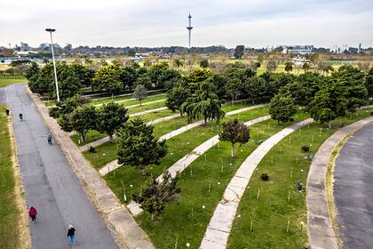 Plantaciones en el Paseo Malvinas de Villa Soldati. Allí se incorporaron 440 ejemplares de Taruma, una especie nativa, en reemplazo de especies exóticas.