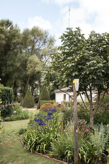 Plantaciones sueltas en los canteros