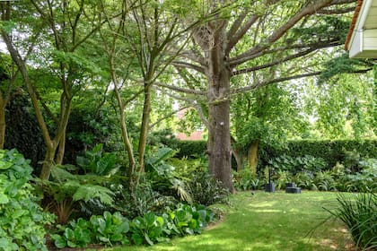 Plantar en capas y limitar la paleta de colores, dos mandamientos que el paisajismo sabe aprovechar