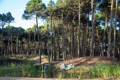 Plantas, agua, tierra y arte conviven en perfecta armonía.