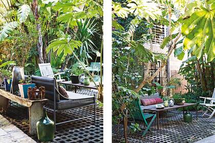 Plantas altas y de hojas gigantes crecen a gusto en el patio.