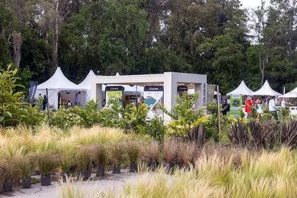 Plantas exhibidas, con el stand de Colorín como telón de fondo.