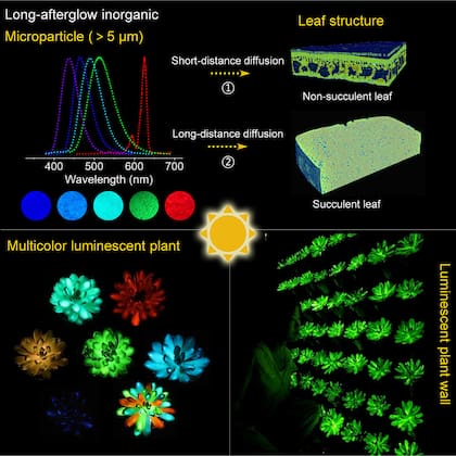 Plantas luminiscentes multicolores diseñadas con materiales y sus aplicaciones
