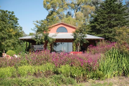 Plantas verticales que marcan el ritmo, volúmenes redondeados que equilibran, texturas sueltas que aportan movimiento