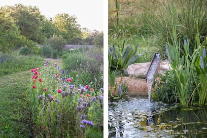 Plantear recorridos libres de corte nos ayuda a enriquecer el jardín (izq.). Los espacios acuáticos aportan belleza, movimiento y refugio para anfibios y aves (der.)