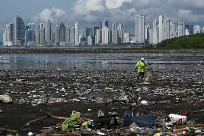 Un hombre recolecta basura, incluidos desechos plásticos, en la playa de Costa del Este, en la Ciudad de Panamá.