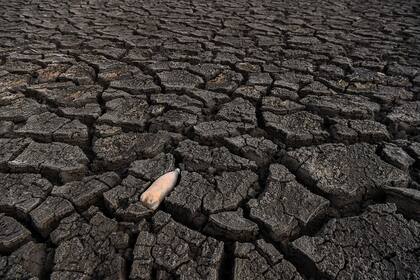 Vista de una botella de plástico y grietas profundas en el fondo de la represa Studena, cerca de la ciudad de Pernik, a unos 30 kilómetros de la capital Sofía.