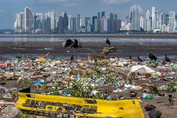 Varios buitres se ven sobre la basura, incluidos los desechos plásticos, en la playa del barrio Costa del Este en la ciudad de Panamá.
