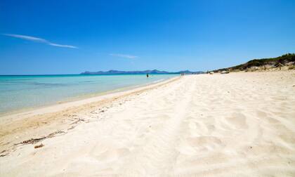 Playa de Muro, en Palma de Mallorca, España