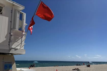 Playas de Florida en alerta por esta situación