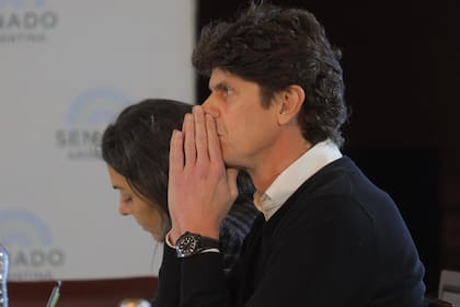 Plenario de comisiones del Senado de la Nación