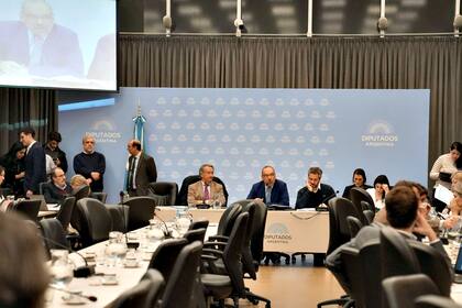 Plenario de comisiones en la Cámara de Diputados: “Ficha limpia” y el voto de residentes argentinos en el exterior
