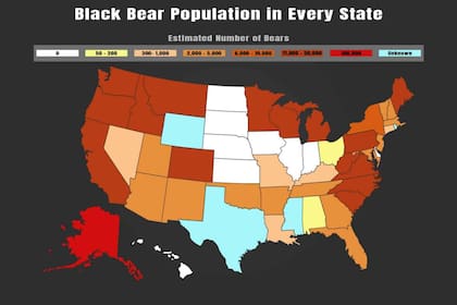 Población de osos negros americanos en Estados Unidos