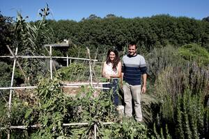 Día de la Tierra: la ciudad argentina que se llenó de árboles frutales