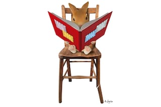 ¿Qué propuestas tiene la política para la educación de los chicos pobres?