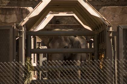 Pocha y Guillermina ya habitan con total normalidad las cajas en las que realizarán el viaje al Mato Grosso