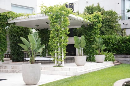 Pocos maceteros ubicados estratégicamente completan el espacio