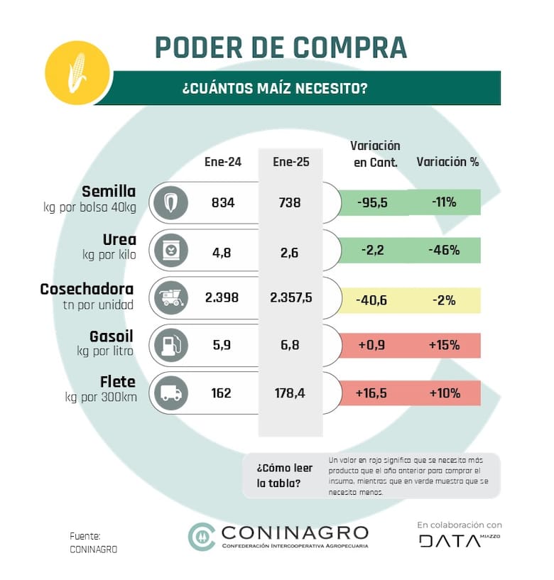 Informe