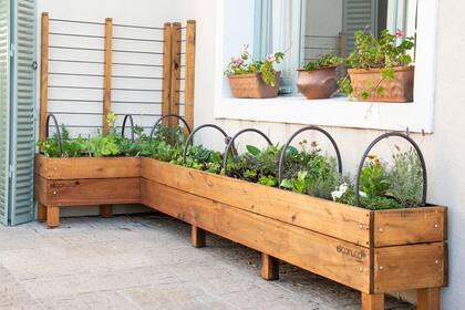 Podés disponer las macetas para cultivar los productos de tus ensaladas en terrazas, balcones o incluso en una ventana