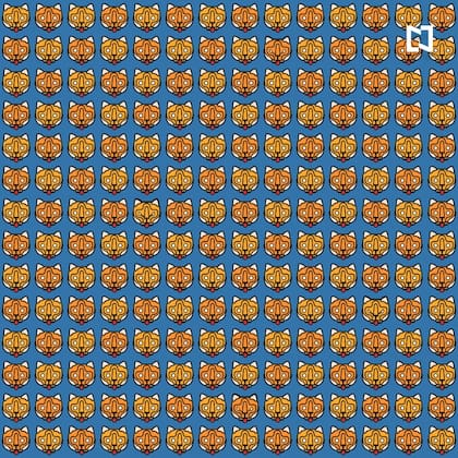 ¿Dónde están los cuatro tigres enojados en esta imagen?