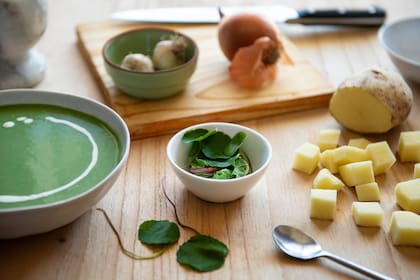 Podés usarla para hacer una sopa, ideal para la llegada del frío