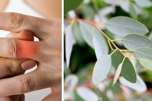 Podría aliviar dolores relacionados con la artrosis. Foto: iStock