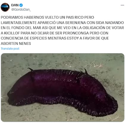 "Podríamos habernos vuelto un país rico, pero lamentablemente apareció una berenjena con sida" el "Gordo Dan" en X (@GordoDan_)