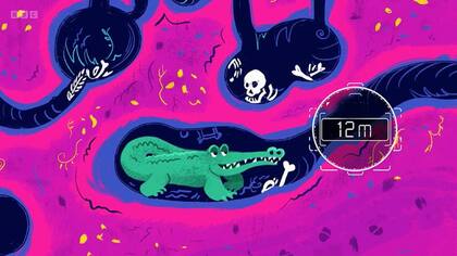 Podrías toparte con un cocodrilo...