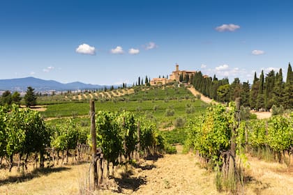 Poggio alle Mura, el castillo de Banfi, donde es posible hospedarse o disfrutar de sus restaurantes y buenos vinos