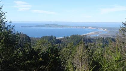 Point Reyes está ubicado en la costa norte de California, cerca de San Francisco