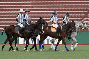 Polo: la simbiosis de expertos con novatos volvió a darle frutos a la Argentina