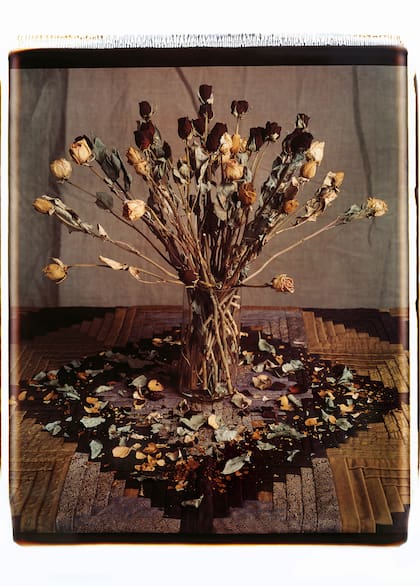 Polaroid de 56x71cm, tomada por Aldo Sessa en 1995