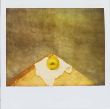 Polaroid, Naturaleza muerta, 1992
